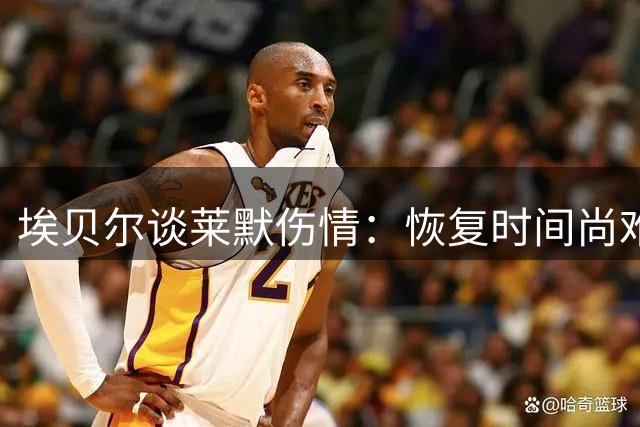 埃贝尔谈莱默伤情：恢复时间尚难确定 友谊赛仍显阵容短板