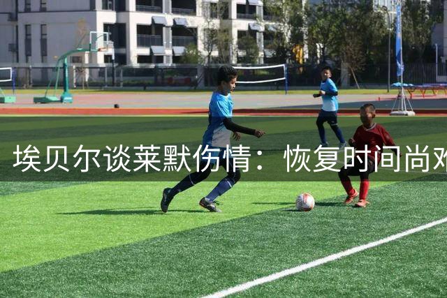 埃贝尔谈莱默伤情：恢复时间尚难确定 友谊赛仍显阵容短板